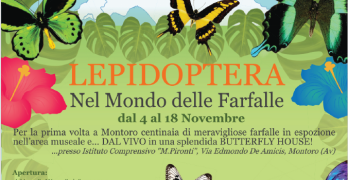 MONTORO : Nel mondo delle farfalle. Scuola, Comune e Forum promuovono la mostra-evento dedicata a Lepidoptera
