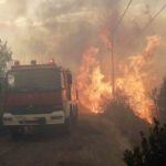 Atene brucia, almeno 60 morti e 500 feriti